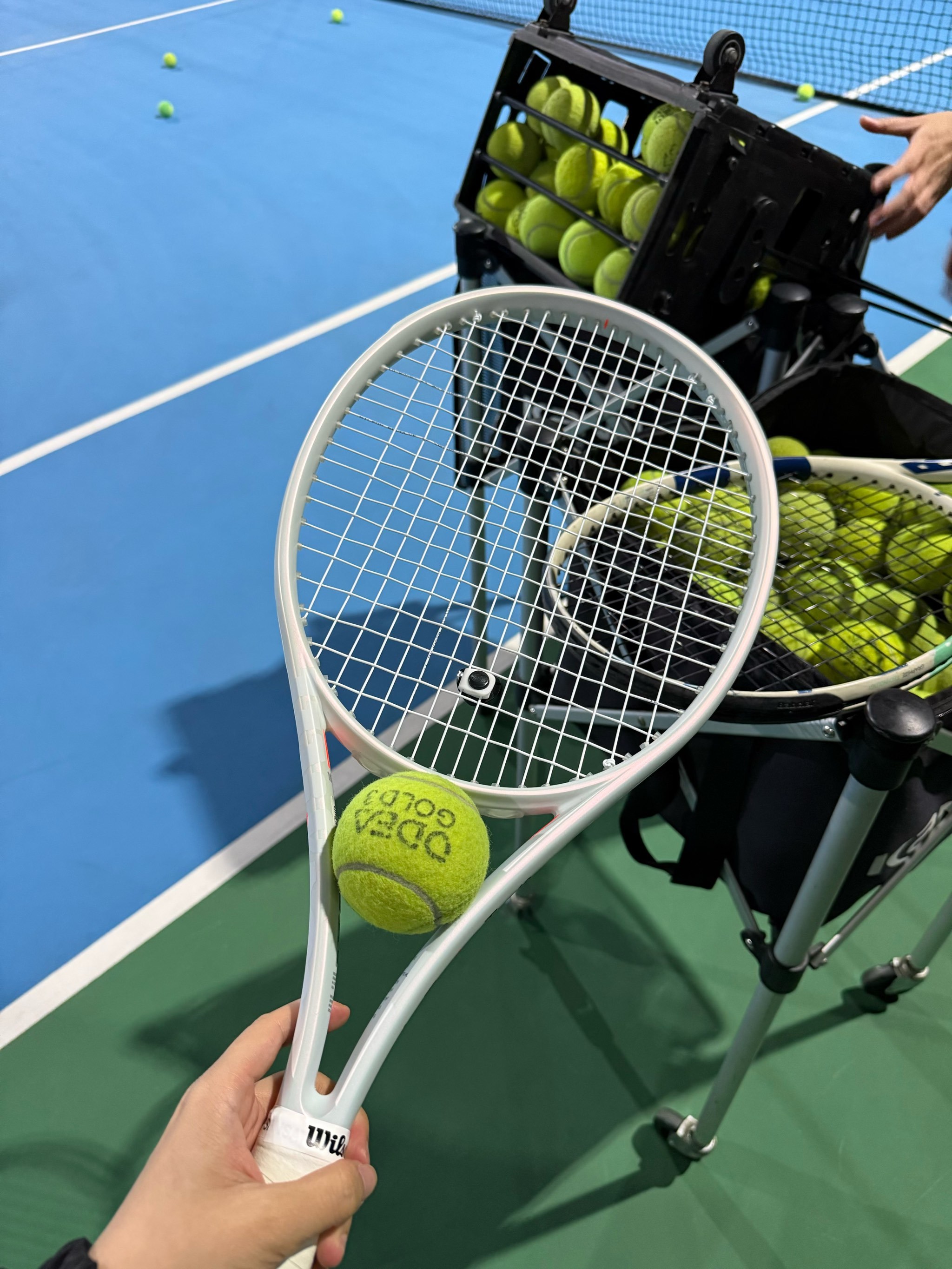 从目前的走 从目前的走