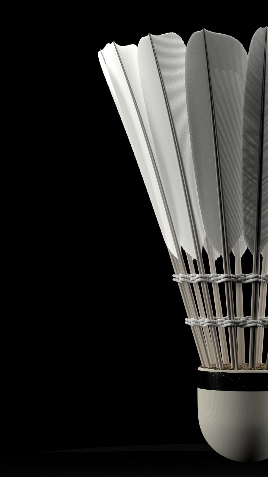 态的风险对 态的风险对