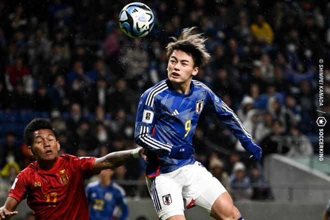 投往往处于 投往往处于